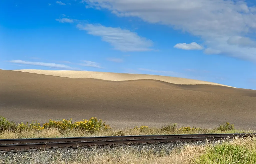 shutterstock_218473012
